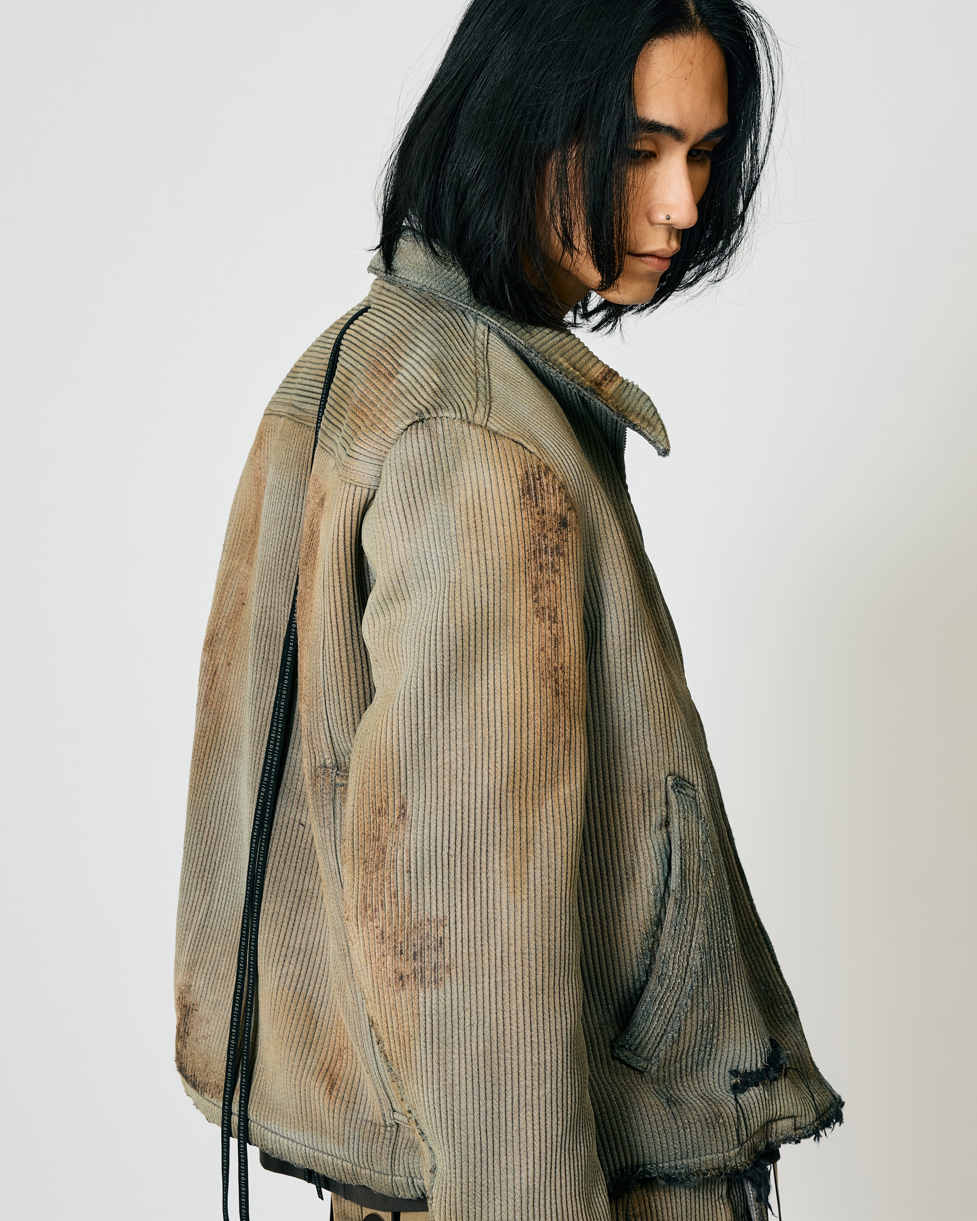 v*i様 ザ　ヴィリジアン　The Viridi-anne アリ　蟻　シルバーリ The Viridi-anne Official EC Store