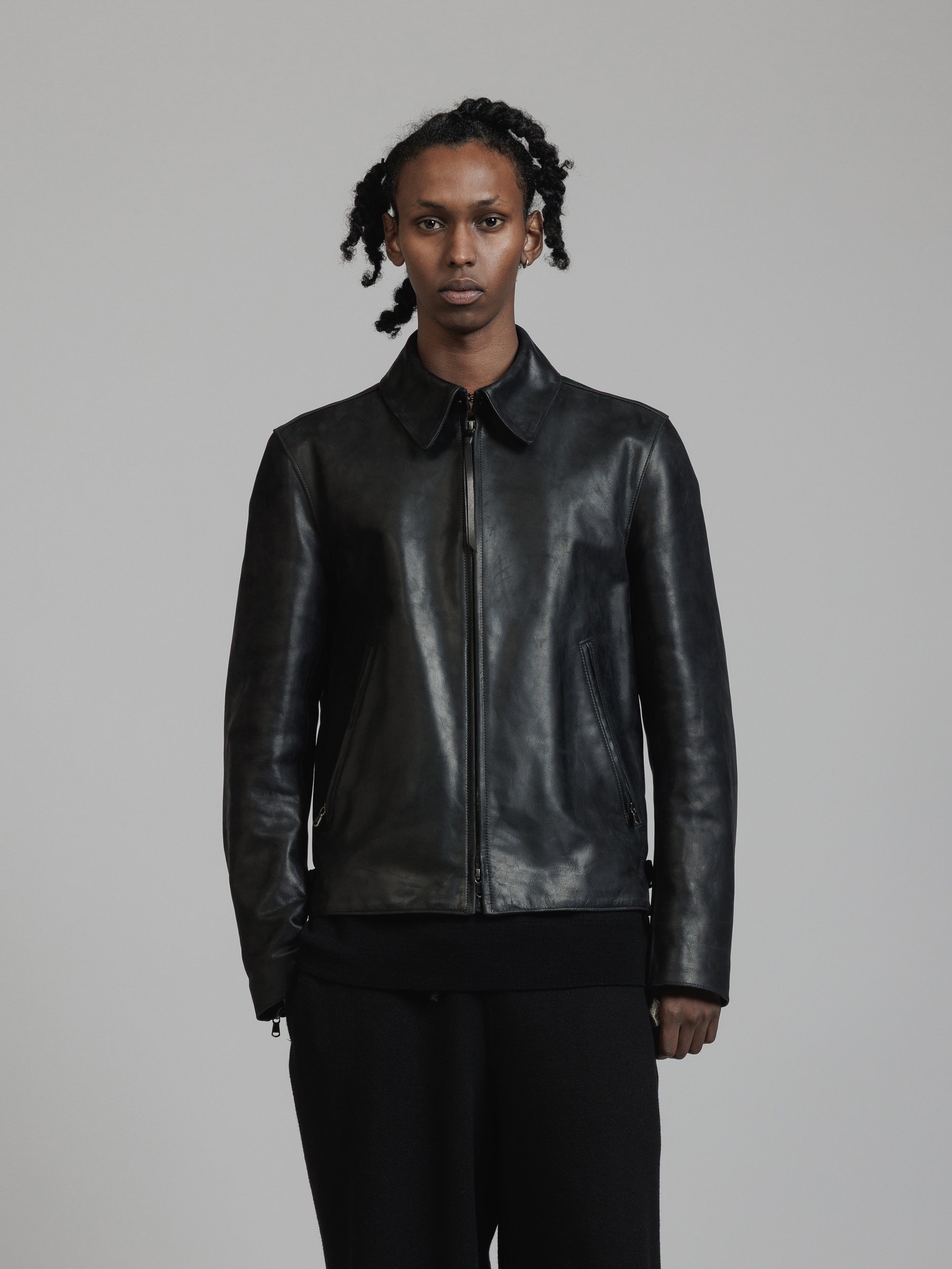 THE VIRIDI-ANNE レザーブルゾン The Viridi-anne Dyed Nylon Zip-up Blouson （A-Black） 通販